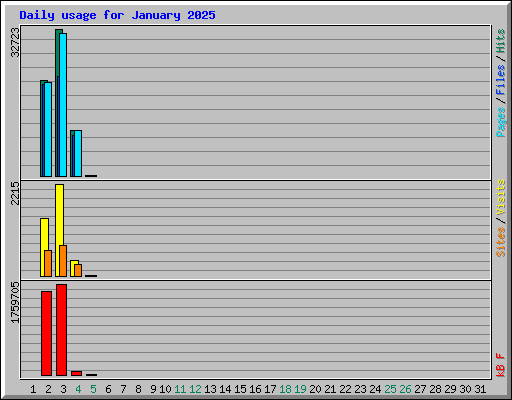 Daily usage for January 2025