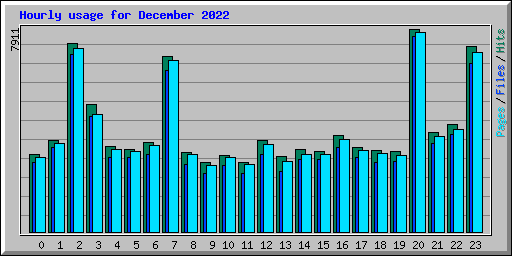 Hourly usage for December 2022