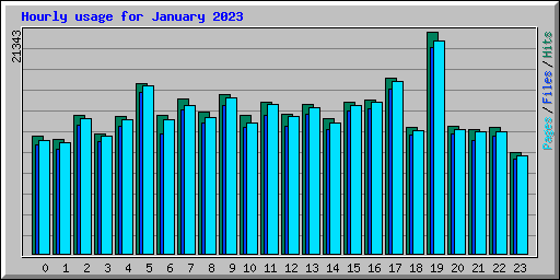 Hourly usage for January 2023